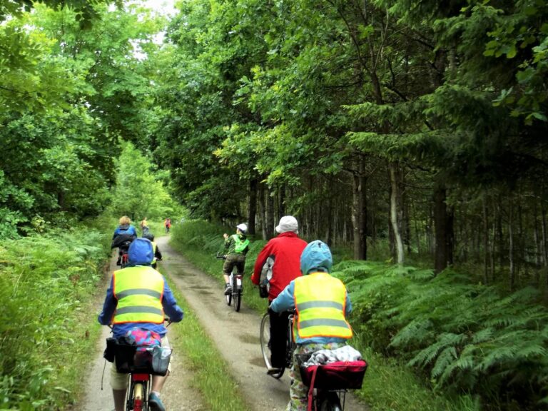 ścieżki rowerowe w Lasach Skaliskich